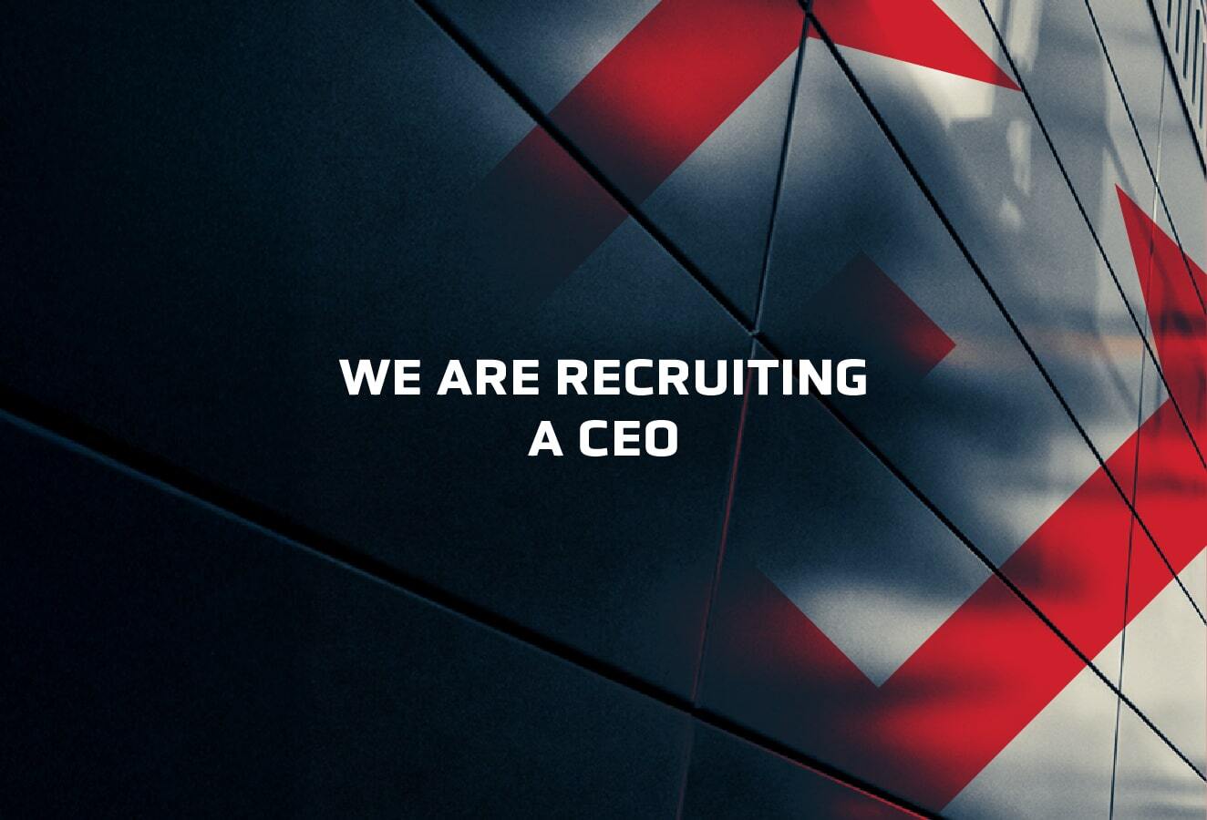 We are recruiting a CEO